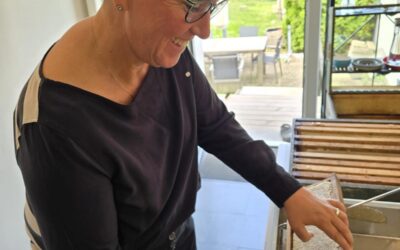 Honigernte bei Michi und Andrea